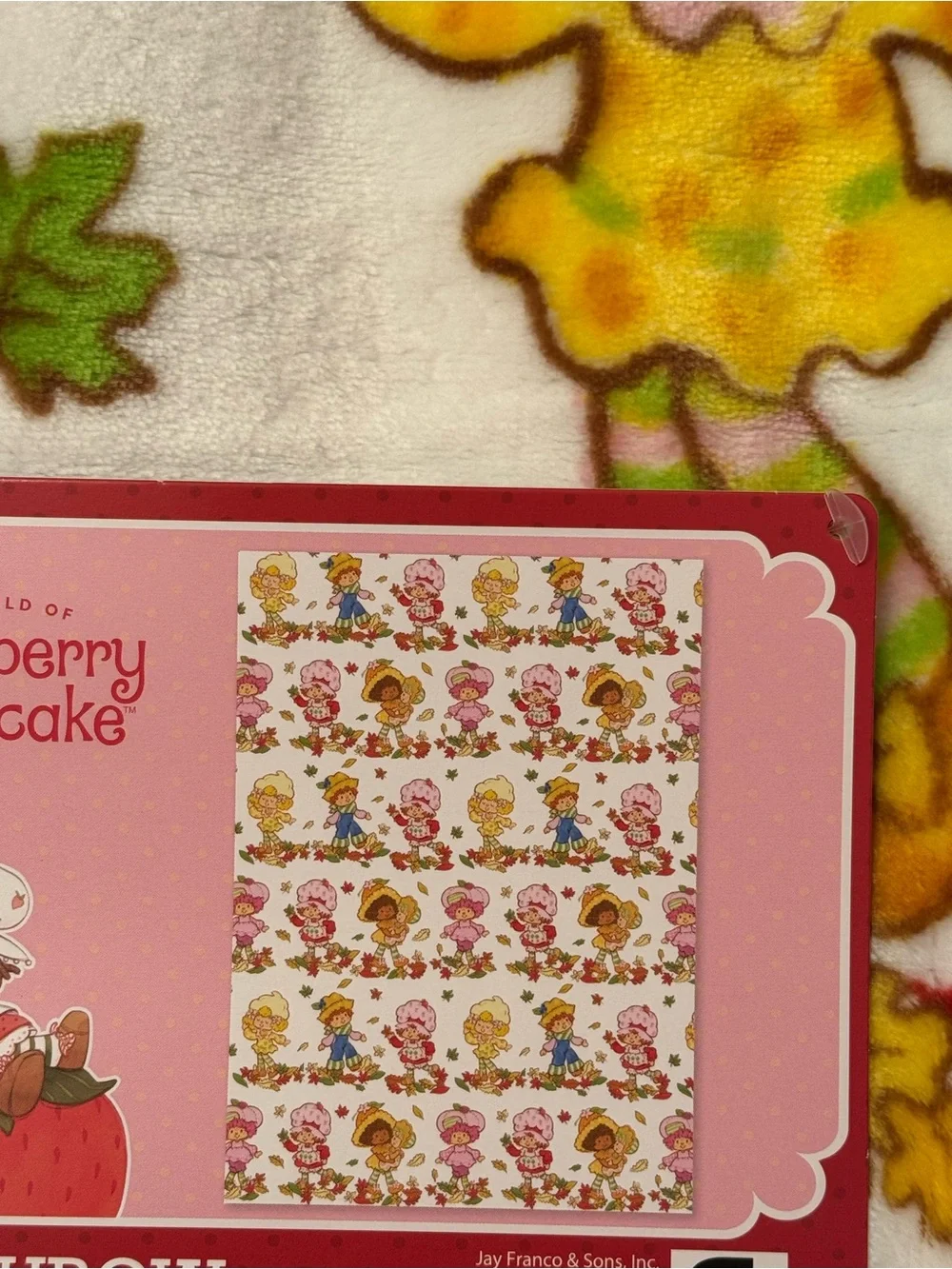 Strawberry Shortcake & Friends Autumn Fall Leaves Blanket